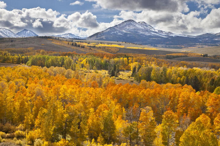 Capture the Fall Colors With Tips from This Pro Photographer – Best Buy