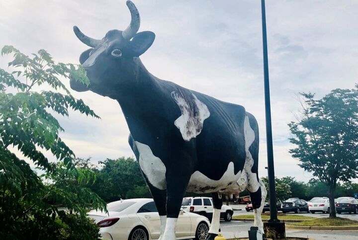 Georgia Best Buy store moo-ves, Kadie the Cow stays - Best Buy
