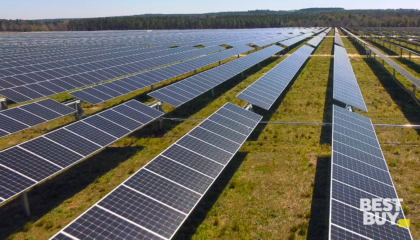 Best Buy Unveils South Carolina Solar Field