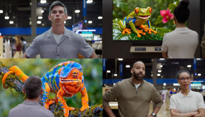 RGB LED TVs deliver a major leap forward in lifelike color and brightness.